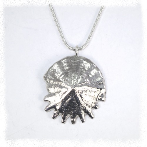 Silver echinoid pendant